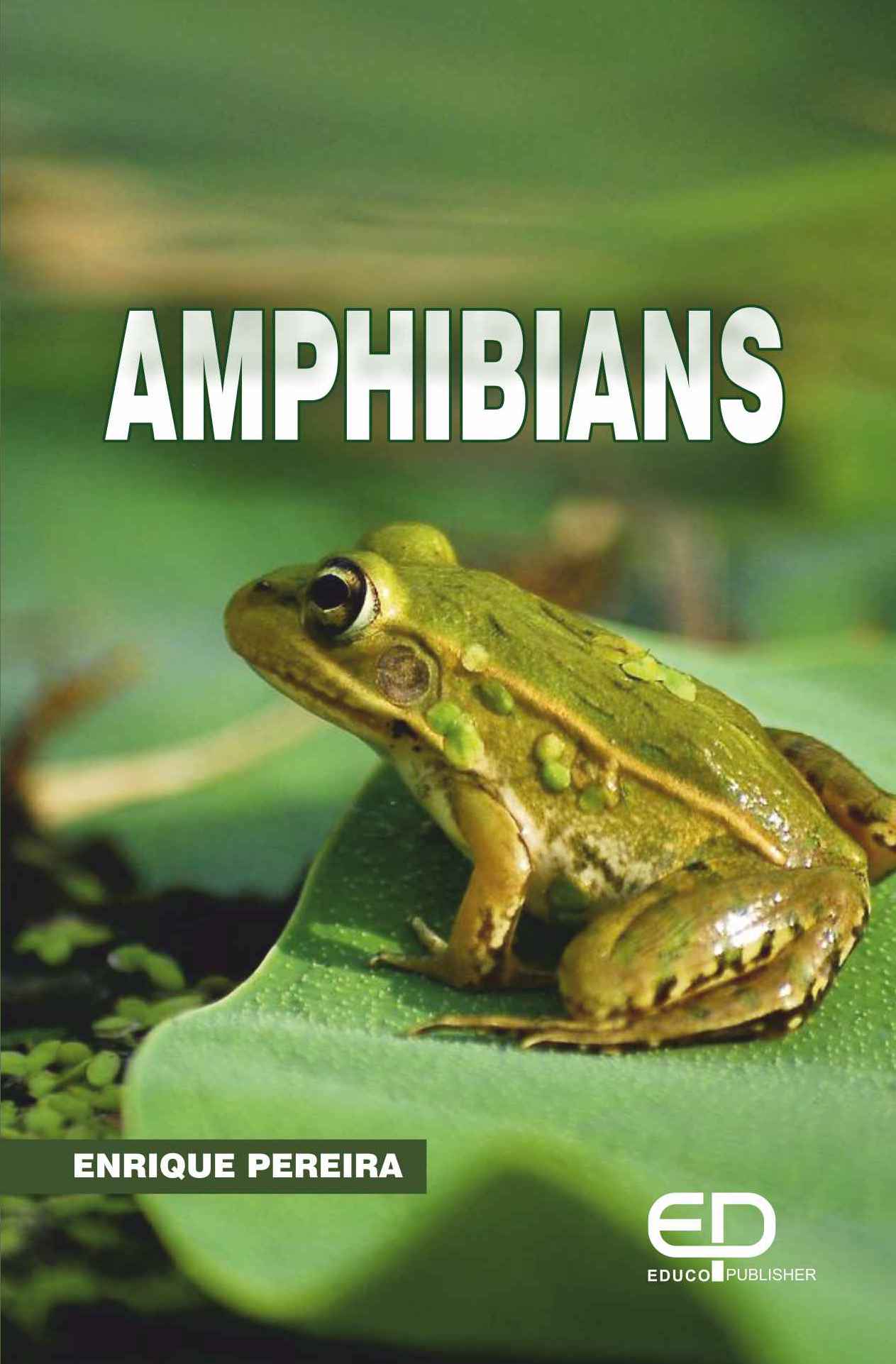 AMPHIBIANS