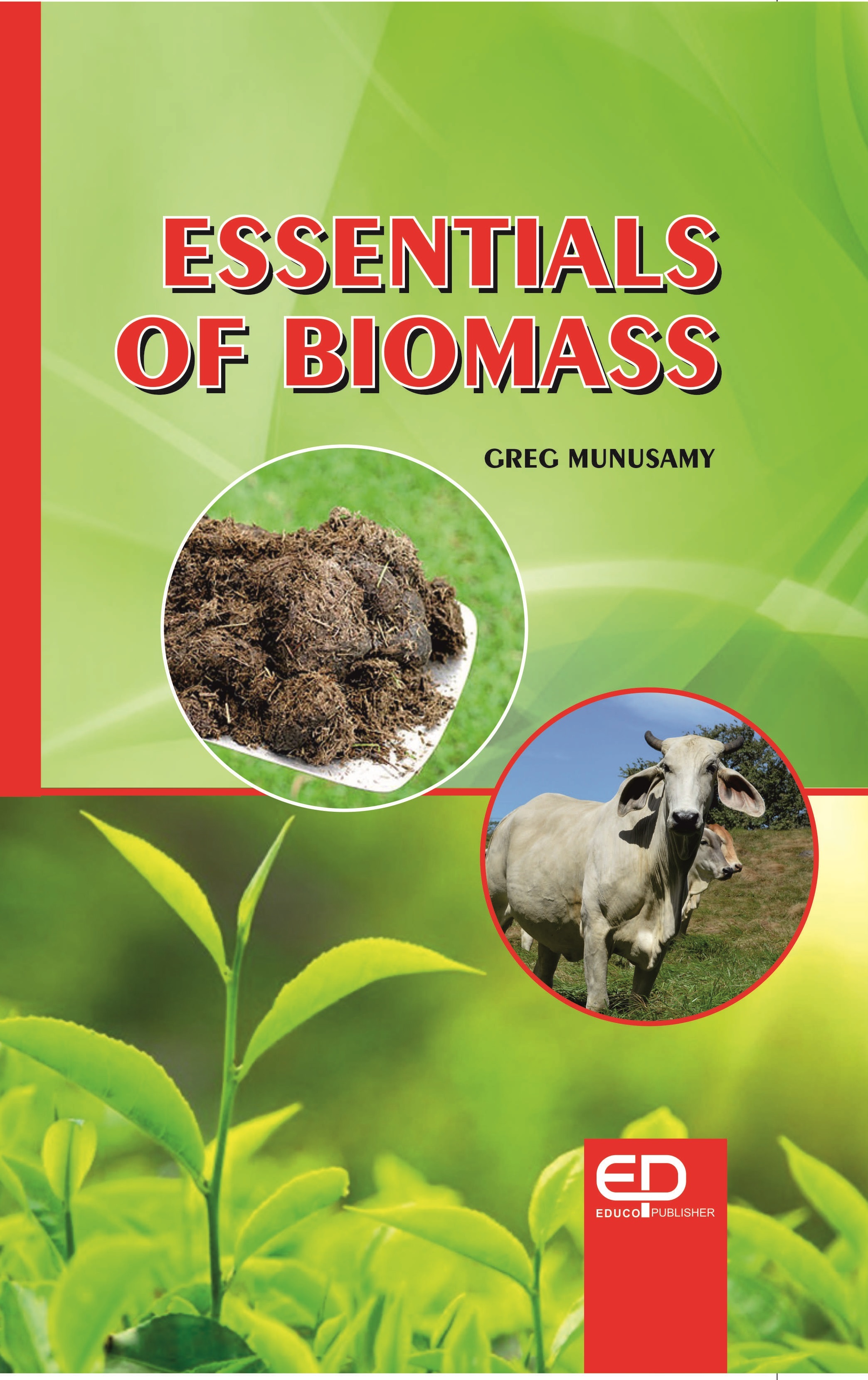 ESSENTIALS OF BIOMASS