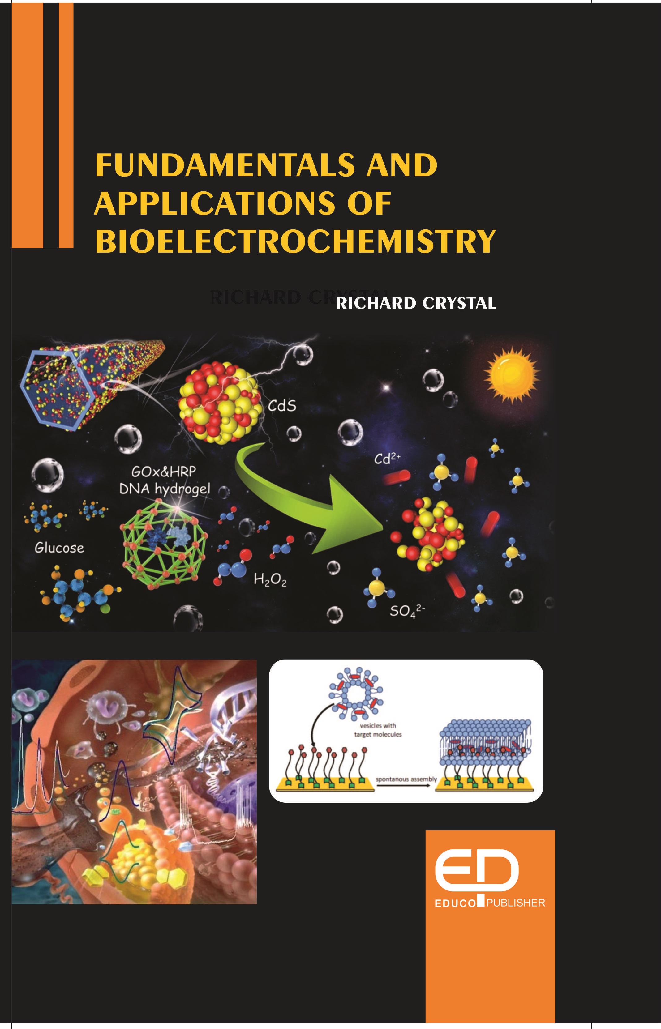 FUNDAMENTALS AND APPLICATIONS OF BIOELECTROCHEMISTRY 